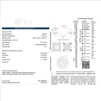 CERTIFIED .73 ct Natural Blue Diamond Princess Cut  Loose Gemstone