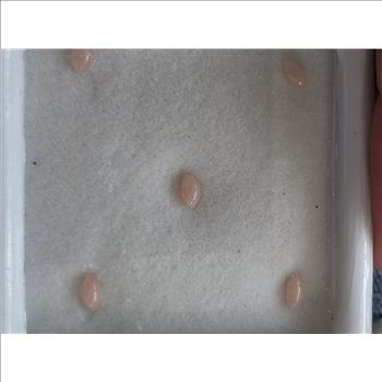No Reserve Natural Peruvian Pink Opal Marquise Cut Loose Gemstone