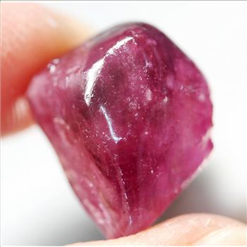 24.45 ct  Natural Ruby Rough Uncut Loose Gemstone