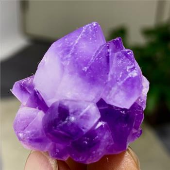 No Reserve  162.15 ct Natural Amethyst Geode Loose Gemstone