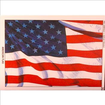 DESERT STORM ~ 1991 TOPPS ~ FIRST SERIE ~ STICKERS ~AMERICAN FLAG #22 ~ 