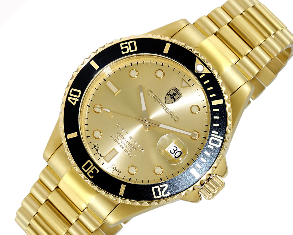 Lechateau Men's, AUTOMATIC -21 JELWEL (NH35) SUN RAY-DATE DIAL, WITH EXHIBITION BACK, C1G888GOBK RETAIL AT (MSRP: $2,124.00)