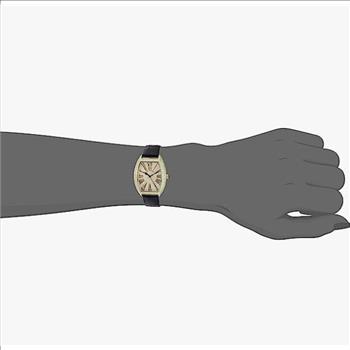 Christian Van Sant Watches Women's Chic, Goldtone, CV4842 Retail at (MSRP: $750.00)