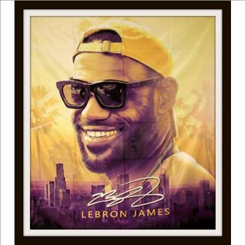NBA LeBron James 