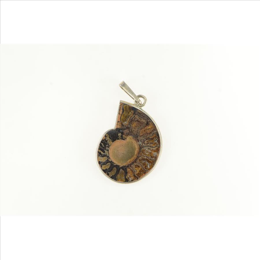 Sterling Silver Ammonite Fossil Shell Crystal Medallion Pendant