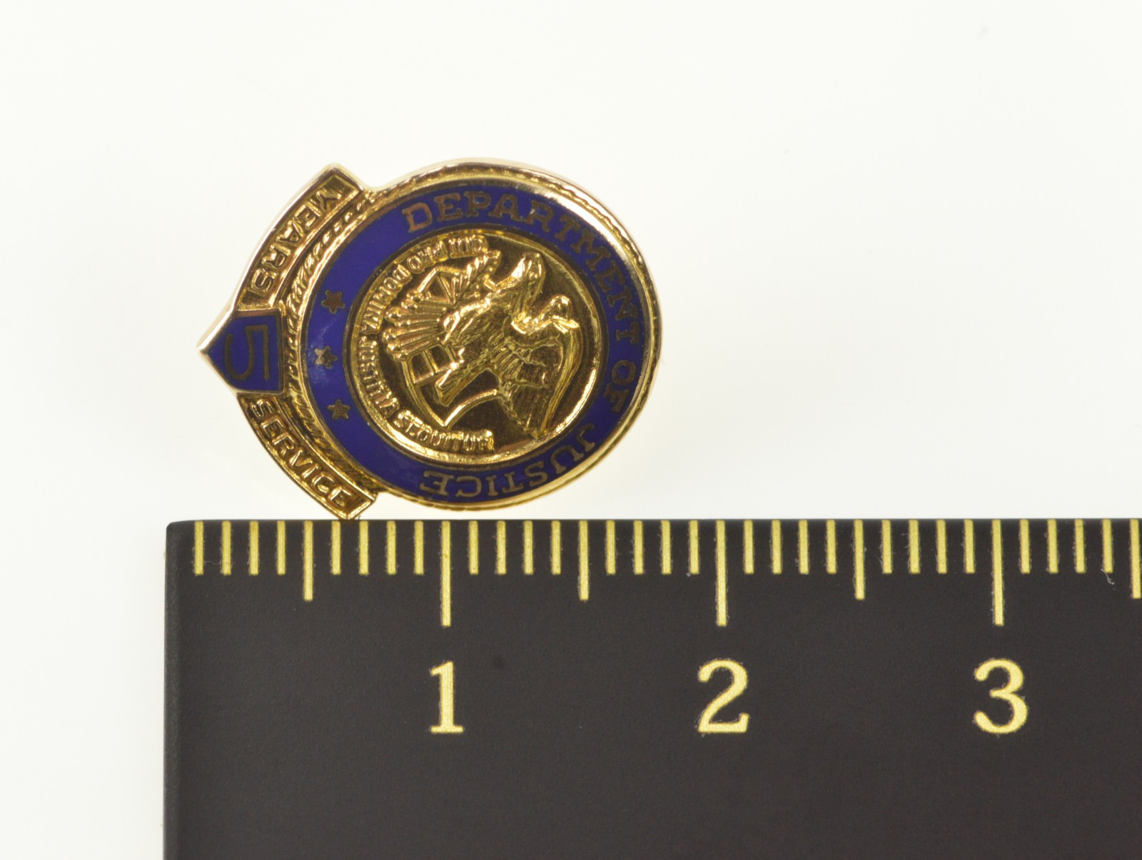 Department of Justice Prison Service DOJ Mini Pin Corrections