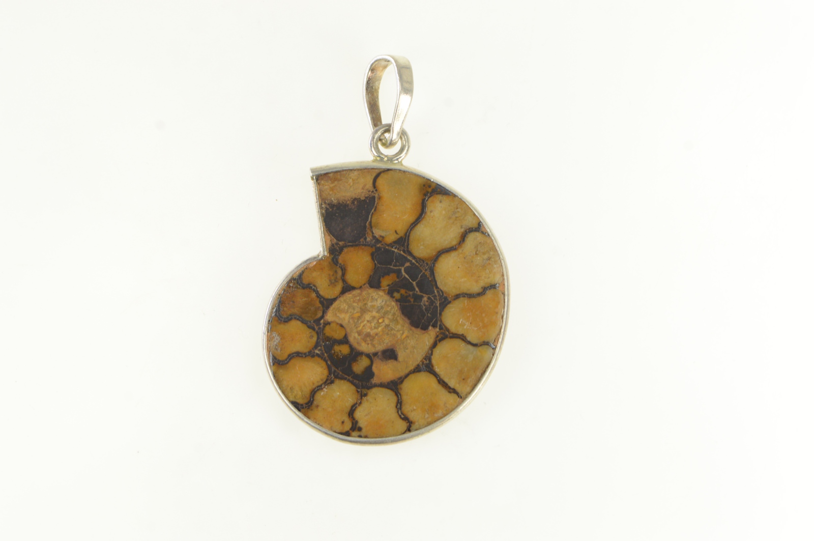 Sterling Silver Ammolite Fossil Shell Ornate Medallion Pendant