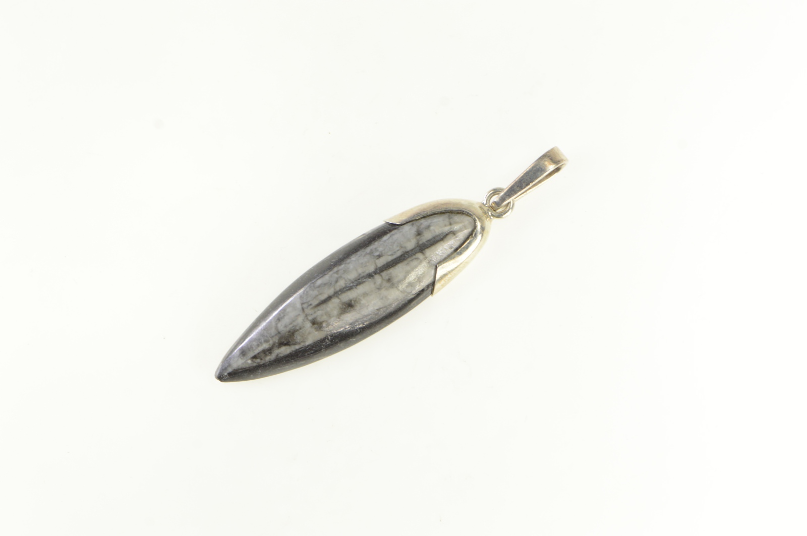 Sterling Silver Authentic Orthoceras Cephalopod Fossil Pendant