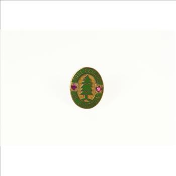 14K Tall Cedars of Lebanon Enamel Masonic Lapel Yellow Gold Pin/Brooch