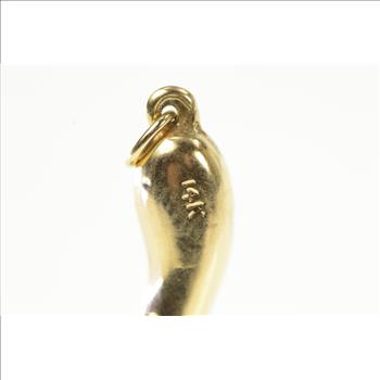 14K Traditional Italian Horn Protection Symbol Yellow Gold Charm/Pendant