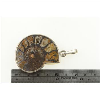 Sterling Silver Ammolite Fossil Crystal Shell Ornate Pendant