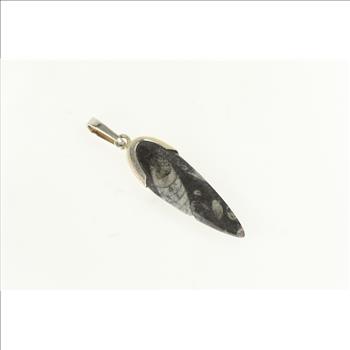 Sterling Silver Authentic Orthoceras Cephalopod Fossil Pendant