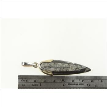 Sterling Silver Authentic Orthoceras Cephalopod Fossil Pendant