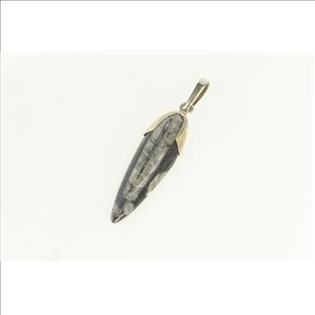 Sterling Silver Authentic Orthoceras Cephalopod Fossil Pendant