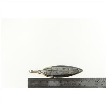 Sterling Silver Authentic Orthoceras Cephalopod Fossil Pendant