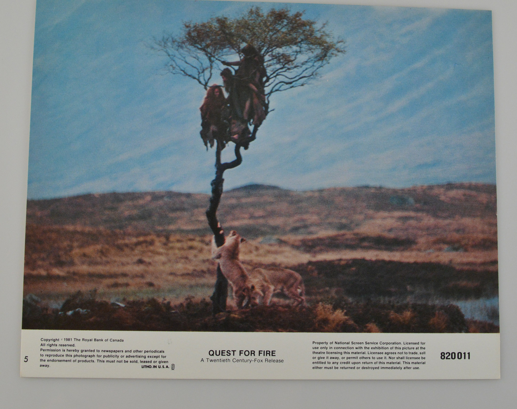 Original Vintage Movie Memorabilia "Quest For Fire" 8X10 Lobby Card