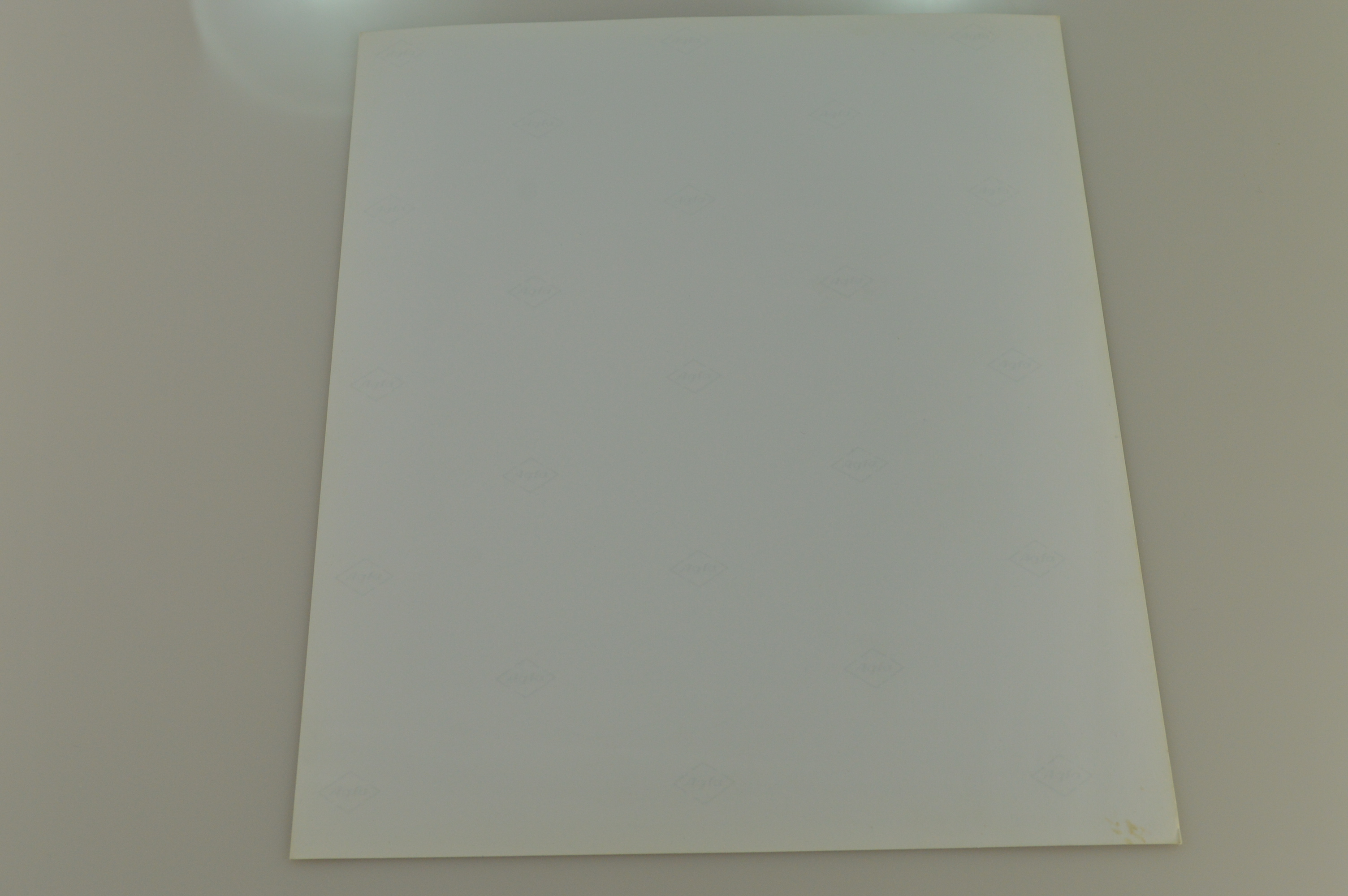 Original Vintage Television Memorabilia Mayim Bialik "Blossom" 8X10