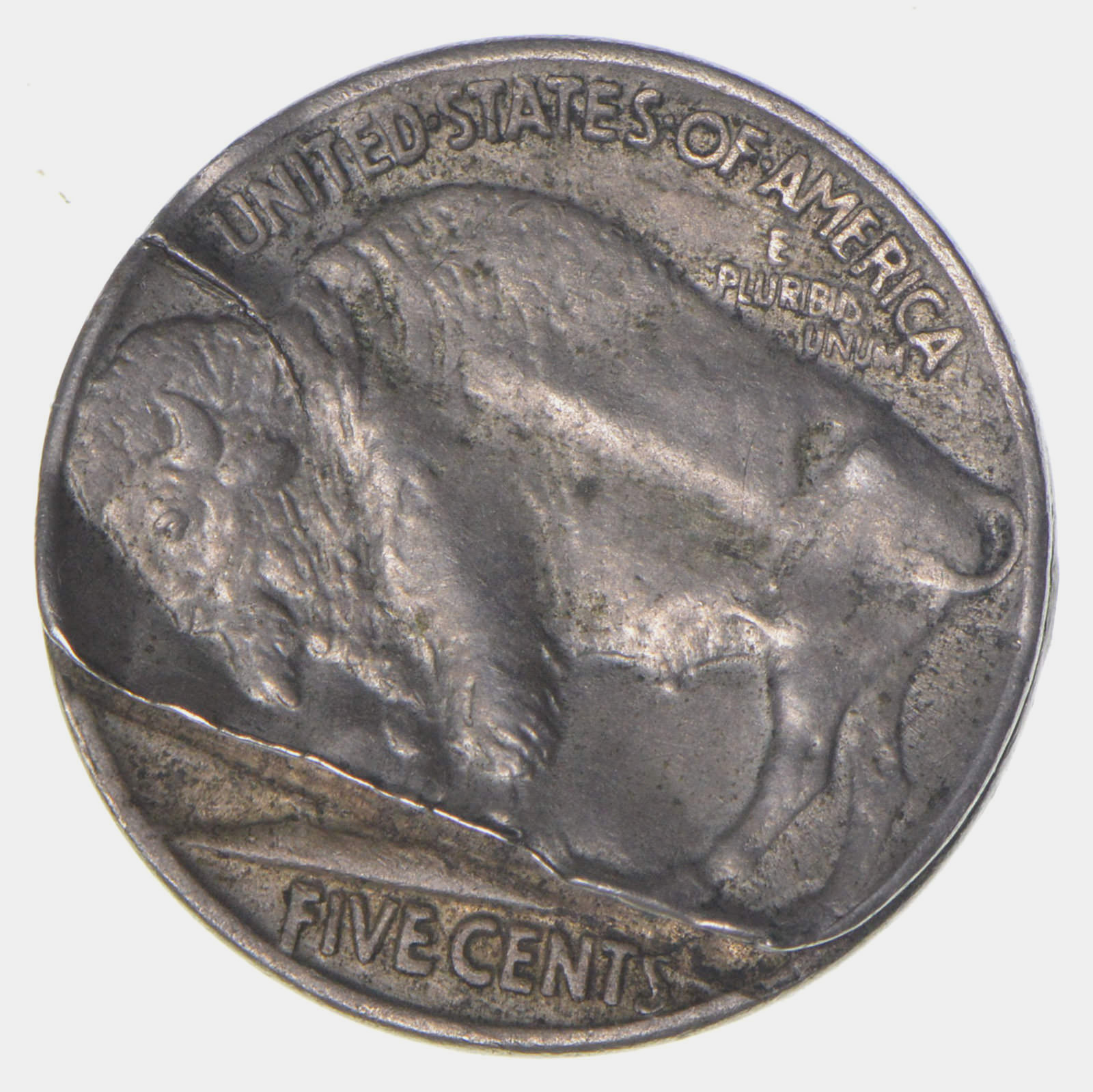 COLLANA LUNGA CON TESTA BUFALO COLLANA LUNGA CON TESTA BUFALO