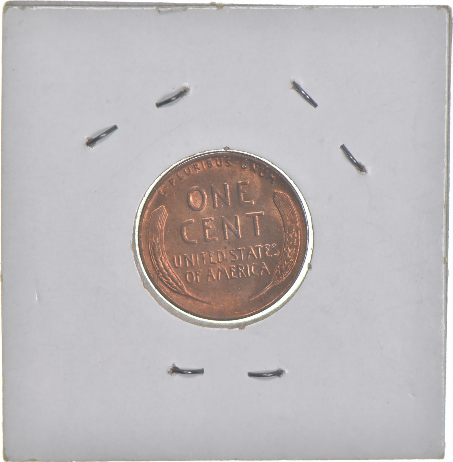 ERROR Coin! Great collectible! Property Room