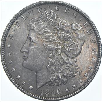 1896 Morgan Silver Dollar - Toned