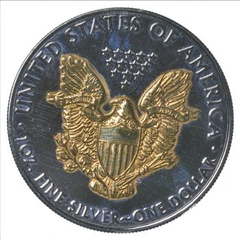 24K GOLD - 2010 American Silver Eagle - 24K Gold Plated - Beauitful