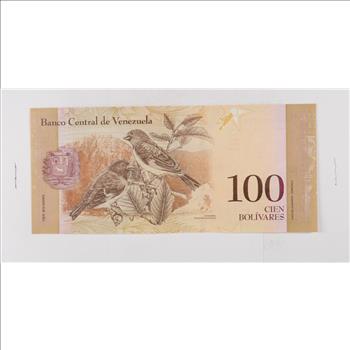 Historic World Bank Note 2013 Venezuela 100 Bolivares Collectible Currency