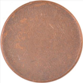 US Mint Error Coin - BLANK Cent Planchet!