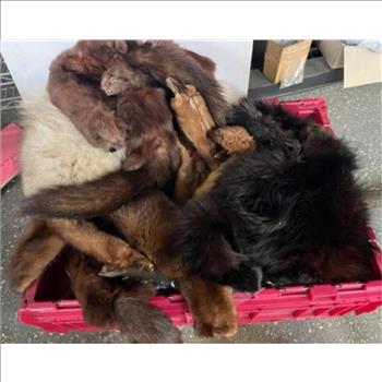 Lot - Vintage Mink And Fox Shawls And Collars