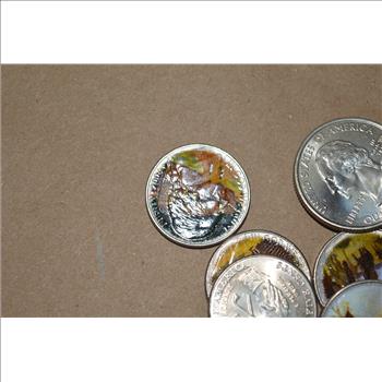 (17) Assorted Colorized US Coins