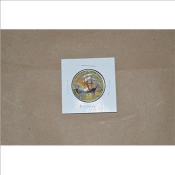 Civil War Coin Collection Colorized Half Dollars