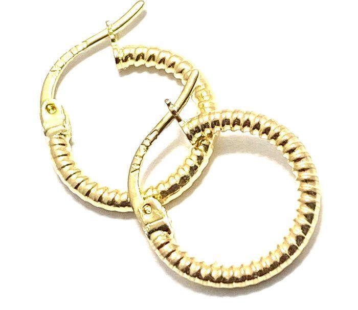 10k Yellow Gold Diamond Cut Hoop Earrings
