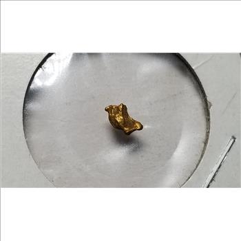 Small Alaskan Gold Nugget Pure Gold 