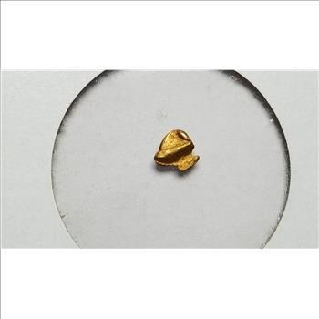 Alaska Gold Mini Nugget