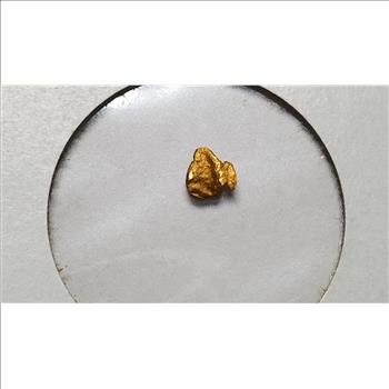 Alaska Gold Mini Nugget