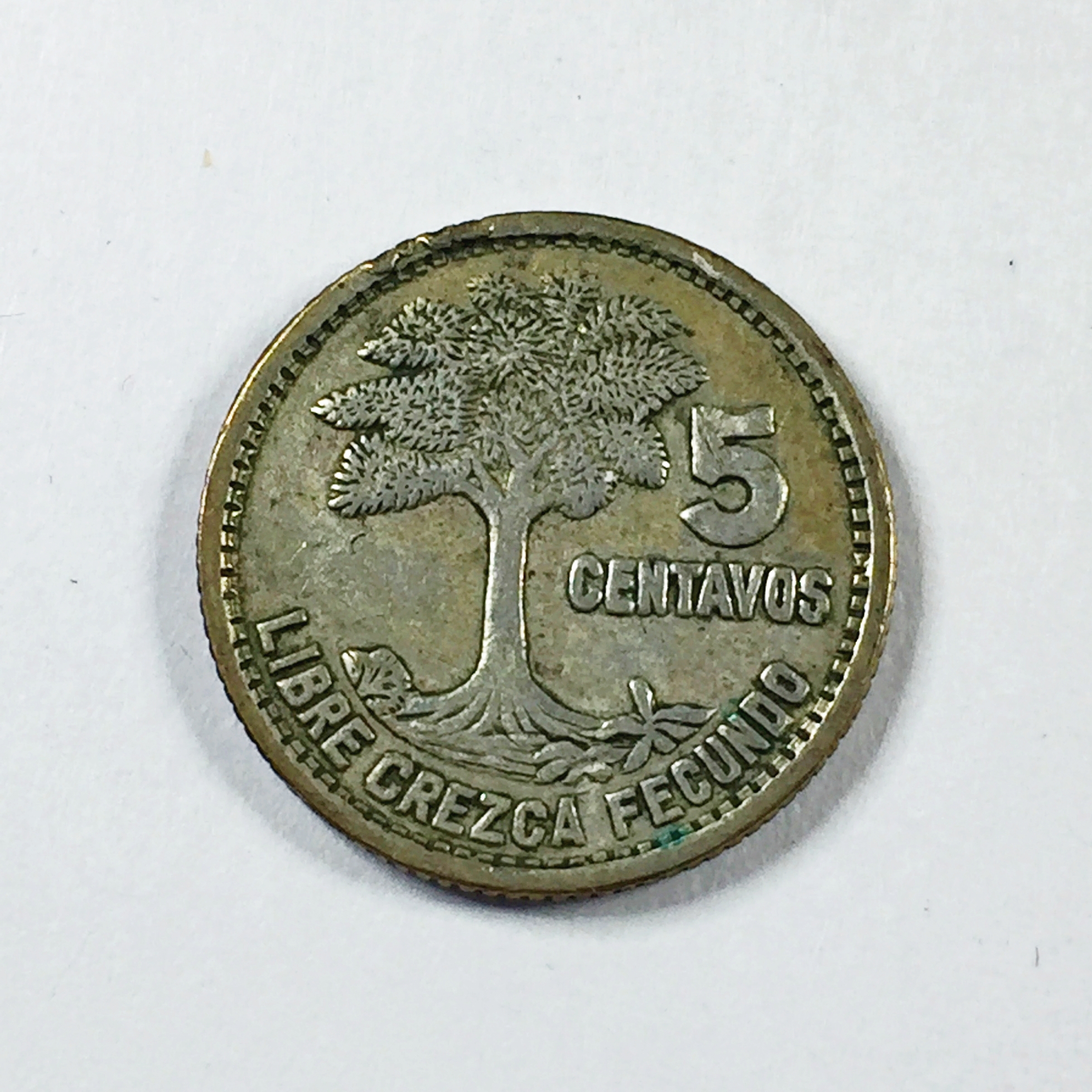 1955 Cinco Centavos Coin Value 46 - 3t1v3n1