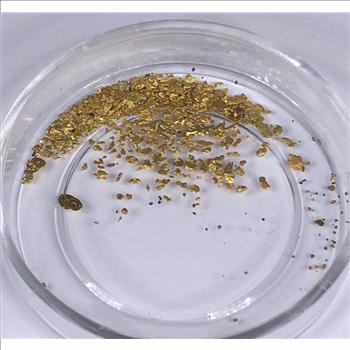 16.20 grains Pure Gold Bullion*In Capsule
