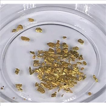 17.80 grains Pure Gold Bullion*In Capsule