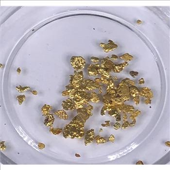 17.86 grains Pure Gold Bullion*In Capsule