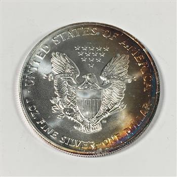 2002 American Silver Eagle*1oz .999 Fine Silver*Rainbow Tone