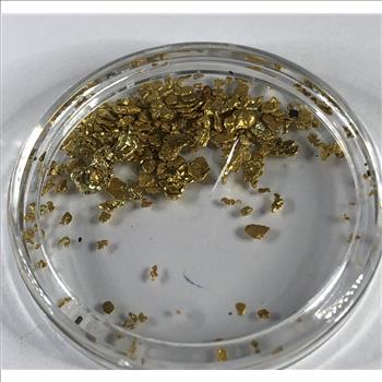 27.42 grains Pure Gold Bullion*In Capsule