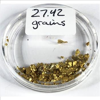 27.42 grains Pure Gold Bullion*In Capsule