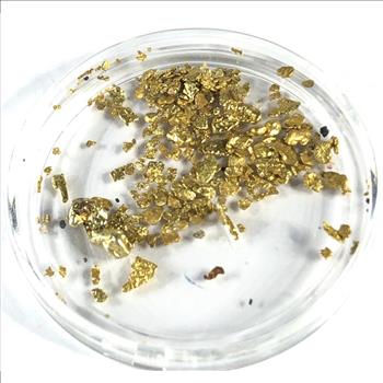 27.42 grains Pure Gold Bullion*In Capsule