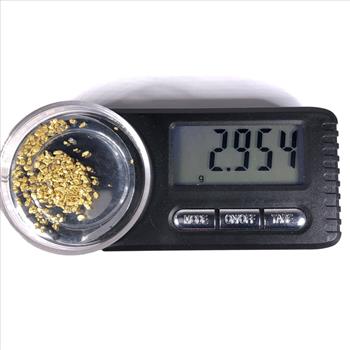 2.954 Grams Raw Gold Flakes