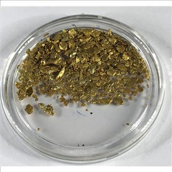 34.30 grains Pure Gold Bullion*In Capsule