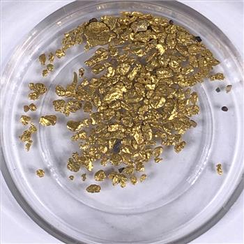3.946 Grams Raw Gold Flakes