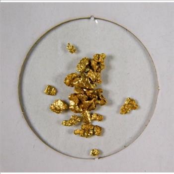 .48 Grams of Pure Gold Nuggets