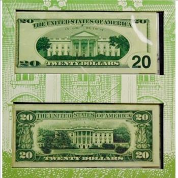 Andrew Jackson Historical Portfolio-$20 Bill Reverse Designs-Two Different Crisp Uncirculated Notes Showing Previous & Current Design-All Housed Professionally For Wall Display-BEAUTIFUL!