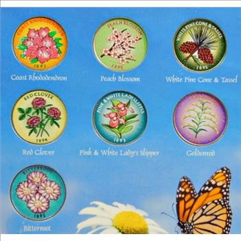 7 Uncirculated State Quarters-Colorized On One Side With That State's Flower-Colorized Beautifully & Hard Plastic Presentation Case