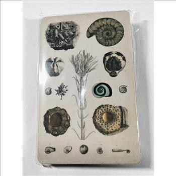 Authentic Fossil Found in North America*Fossil Photos on Reverse of Card