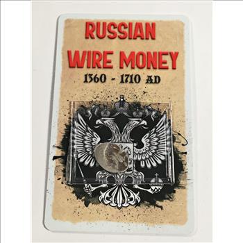 Authentic Fossil Found in North America*Fossil Photos on Reverse of Card